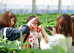 農園紀の国 写真