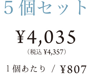 5個セット 4035円 税込4357円